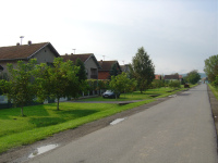 DSC08886