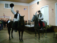 fasnik12