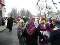 fasnik13